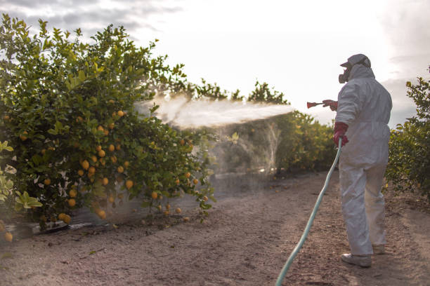  Ganado, TX Pest Control Pros