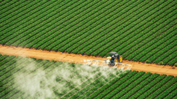 Best Mosquito Control Services  in Ganado, TX